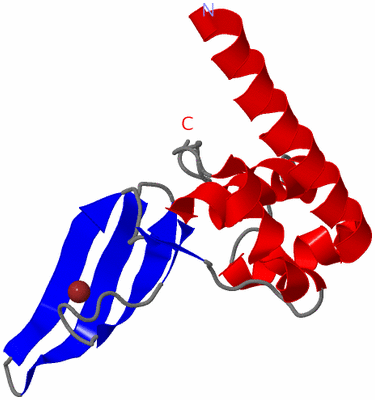 Image NMR Structure - model 1