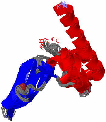 Image NMR Structure - all models