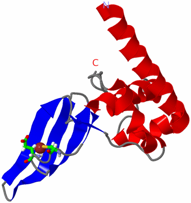 Image NMR Structure - model 1, sites