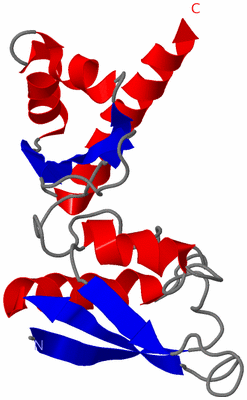 Image NMR Structure - model 1