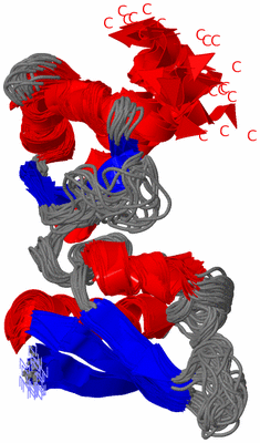 Image NMR Structure - all models