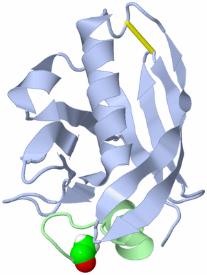 Image NMR Structure - model 1