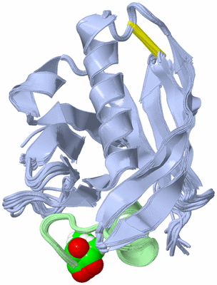 Image NMR Structure - all models
