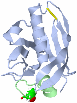 Image NMR Structure - model 1, sites