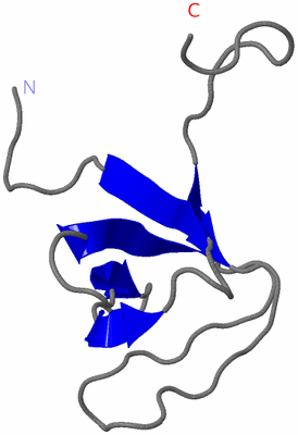 Image NMR Structure - model 1