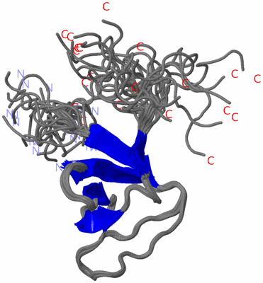 Image NMR Structure - all models