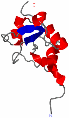 Image NMR Structure - model 1