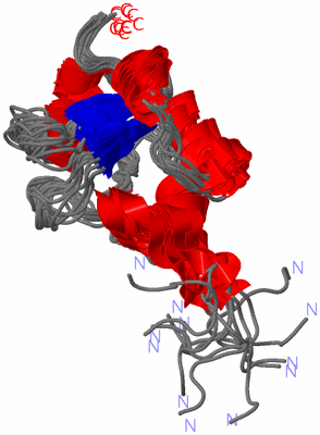 Image NMR Structure - all models