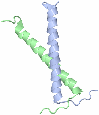 Image NMR Structure - model 1