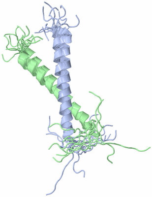 Image NMR Structure - all models