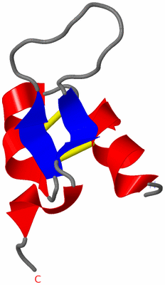 Image NMR Structure - model 1