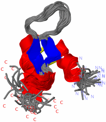 Image NMR Structure - all models