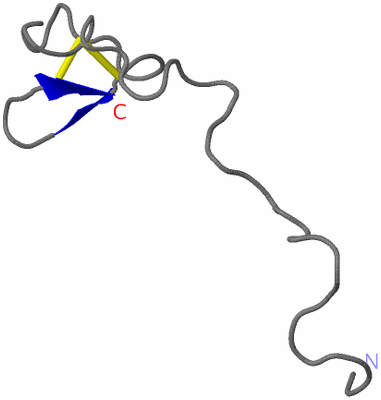 Image NMR Structure - model 1