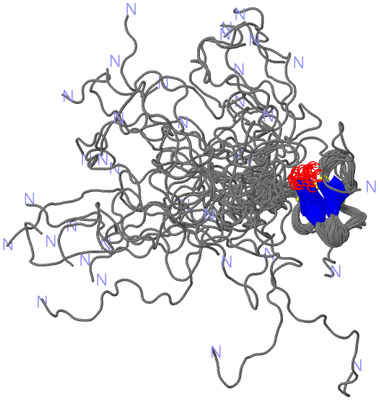 Image NMR Structure - all models