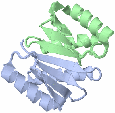 Image NMR Structure - all models