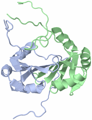 Image NMR Structure - model 1