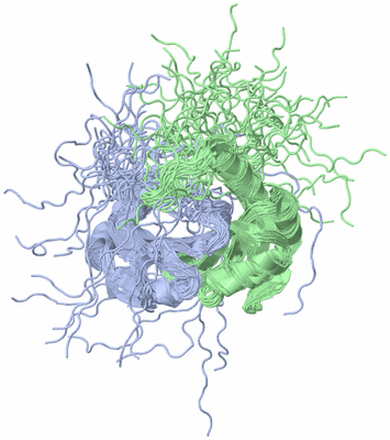 Image NMR Structure - all models