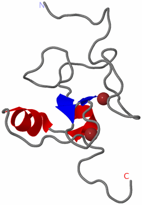 Image NMR Structure - model 1