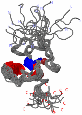 Image NMR Structure - all models