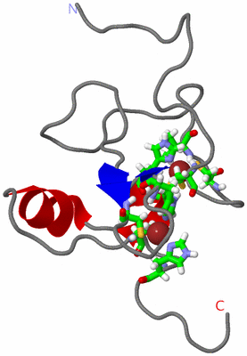 Image NMR Structure - model 1, sites