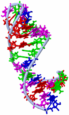 Image NMR Structure - model 1