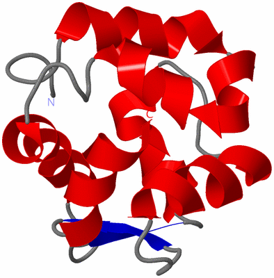 Image NMR Structure - model 1