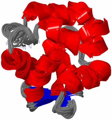 Image NMR Structure - all models