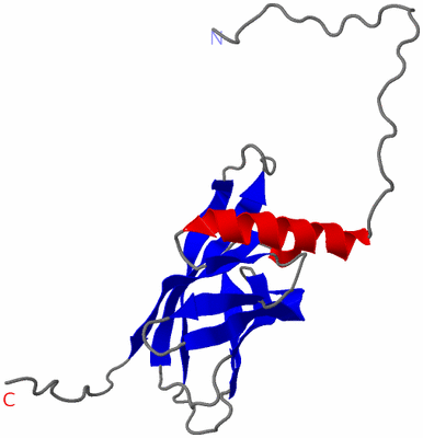 Image NMR Structure - model 1