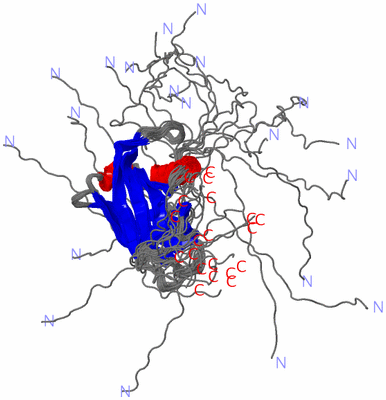 Image NMR Structure - all models