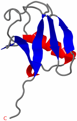 Image NMR Structure - model 1