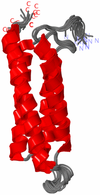 Image NMR Structure - all models