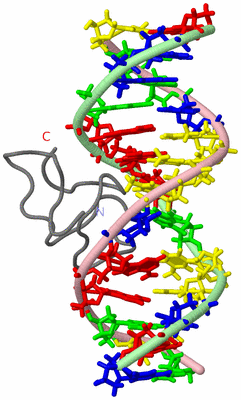 Image NMR Structure - model 1