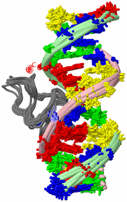 Image NMR Structure - all models