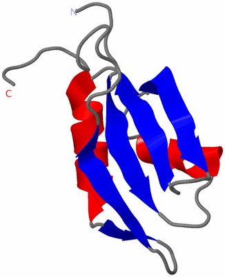 Image NMR Structure - model 1