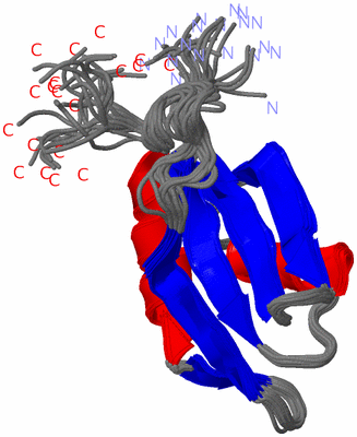 Image NMR Structure - all models