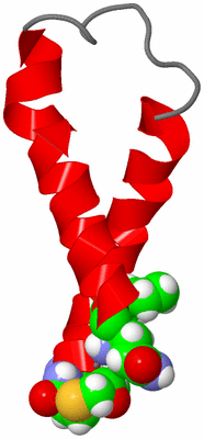 Image NMR Structure - model 1