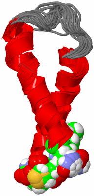 Image NMR Structure - all models