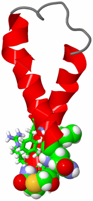 Image NMR Structure - model 1, sites