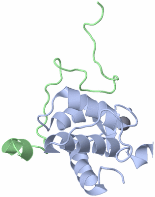 Image NMR Structure - model 1