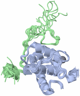 Image NMR Structure - all models