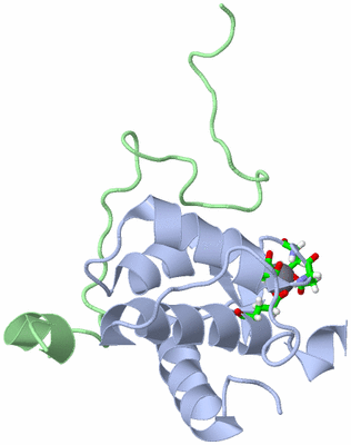 Image NMR Structure - model 1, sites