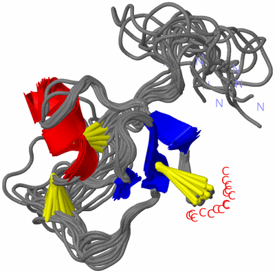 Image NMR Structure - all models