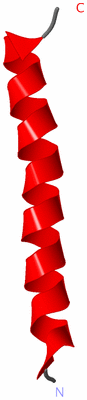 Image NMR Structure - model 1