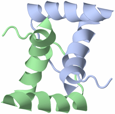 Image NMR Structure - model 1