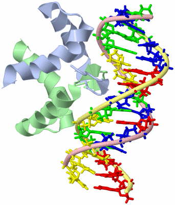 Image NMR Structure - model 1