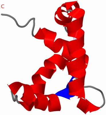 Image NMR Structure - model 1