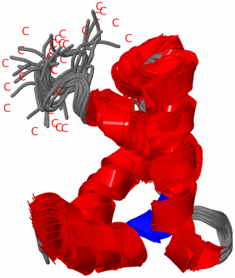 Image NMR Structure - all models