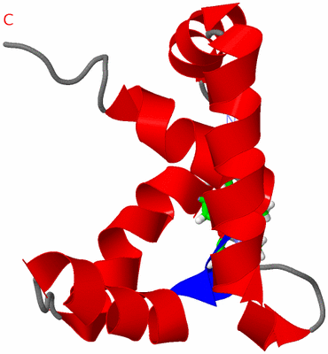 Image NMR Structure - model 1, sites