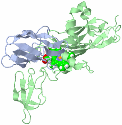 Image NMR Structure - model 1