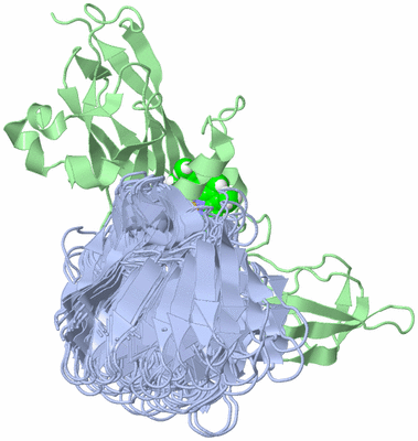 Image NMR Structure - all models